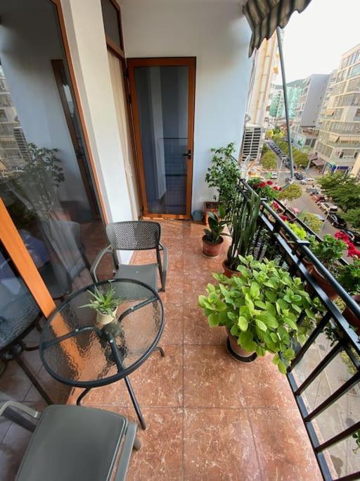 Mimosa'S Apartment With Lovely Balcony Tirana Eksteriør billede